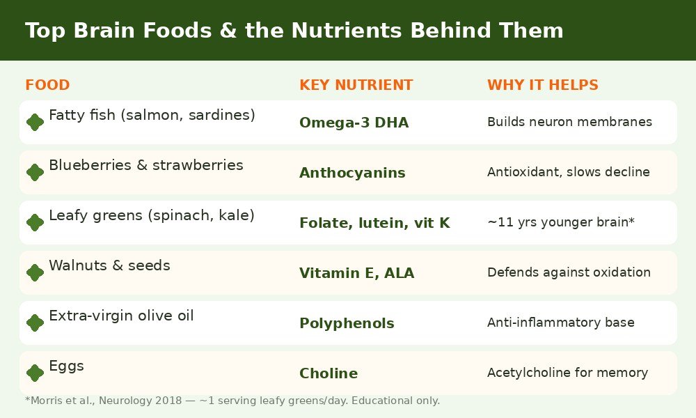 Chart of the top brain foods and the key nutrients behind each one — omega-3, anthocyanins, folate and vitamin E