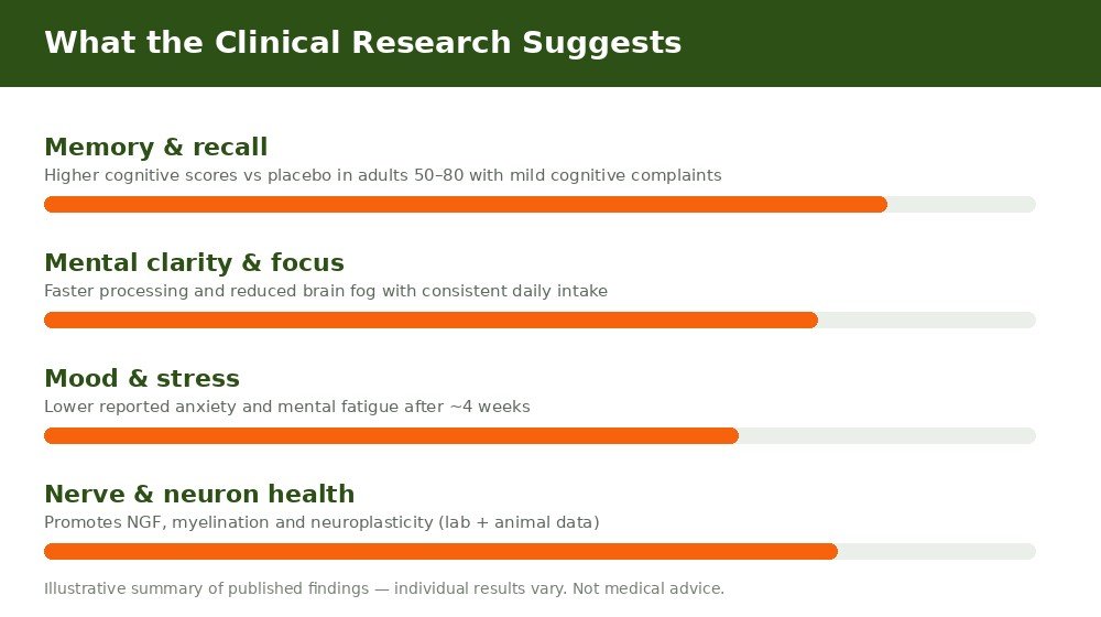 Summary chart of Lion's Mane clinical research benefits for memory, focus, mood and nerve health