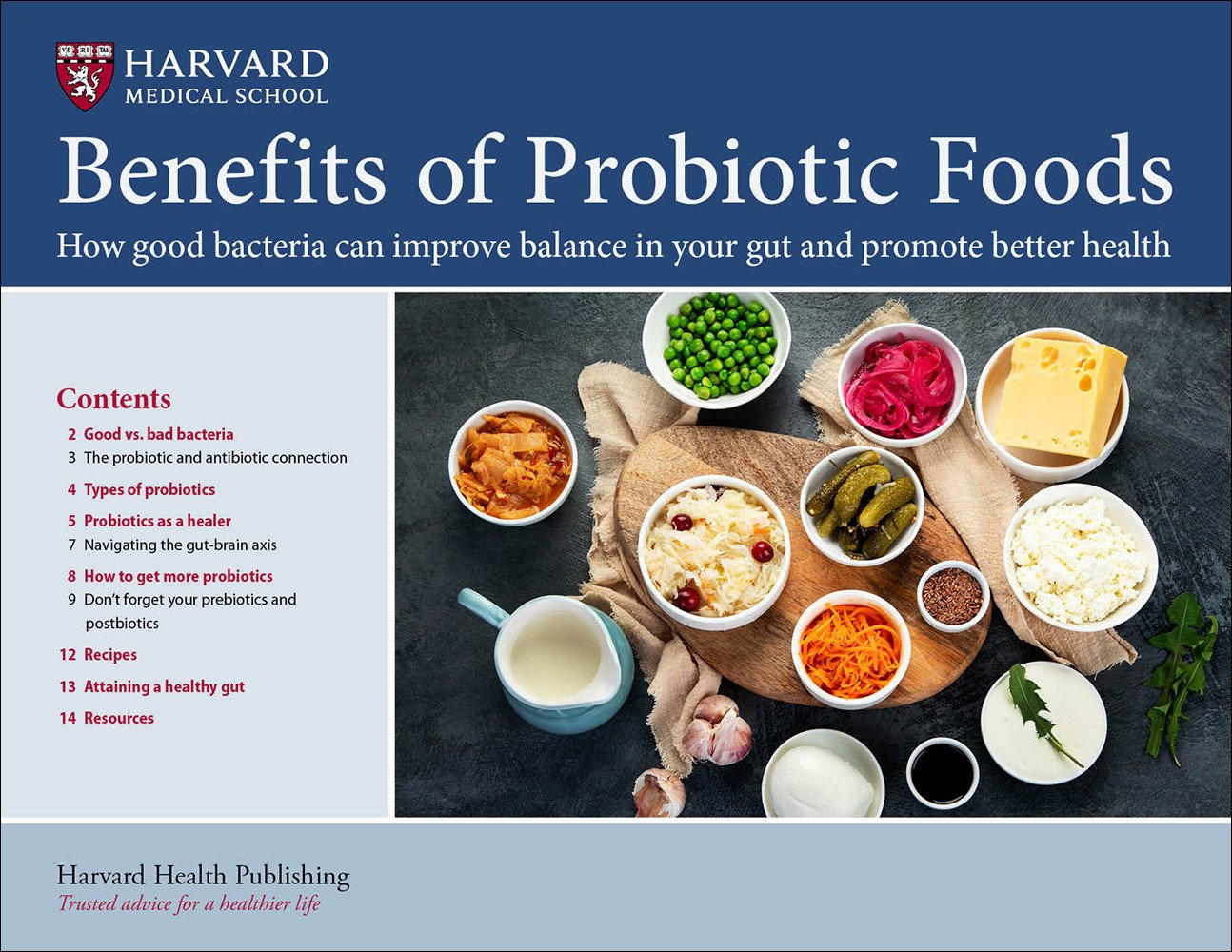 Probiotic-rich foods for gut health